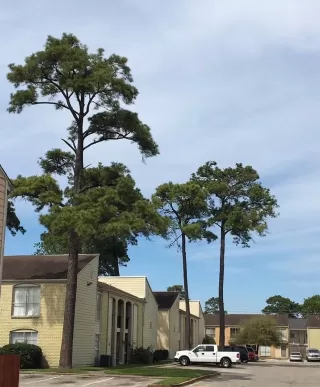 Primary Photo for MLS#: 10778758