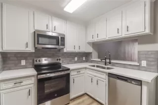 Primary Photo for MLS#: 10908944