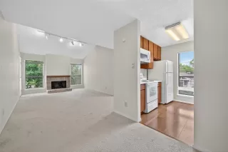 Photo #3: 13077450 Listing 