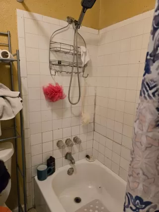 Photo #3: 18253259 Listing 