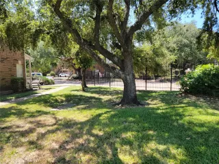 Photo #4: 19981542 Listing 