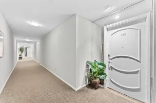 Photo #1: 24639364 Listing 