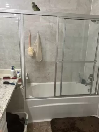 Photo #5: 26317599 Listing 