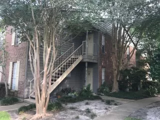 Photo #1: 2911941 Listing 