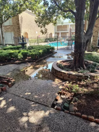 Photo #3: 41174452 Listing 