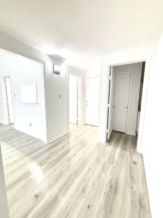 Photo #4: 45851989 Listing 