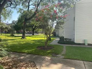 Photo #1: 48116451 Listing 