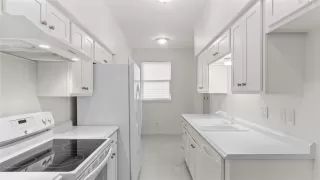 Photo #5: 49132086 Listing 