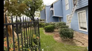 Photo #2: 49443683 Listing 