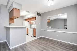 Photo #4: 51055379 Listing