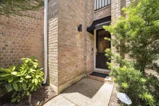 Photo #1: 57531124 Listing