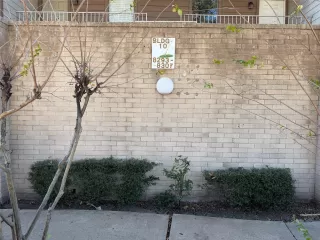 Photo #1: 58481580 Listing 