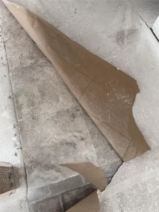 Photo #6: 6197038 Listing 