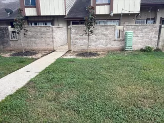 Photo #4: 62755442 Listing 