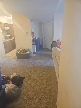 Photo #3: 63611598 Listing 