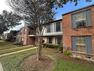 Photo #2: 66156568 Listing 