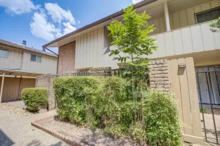 Photo #3: 66576296 Listing 