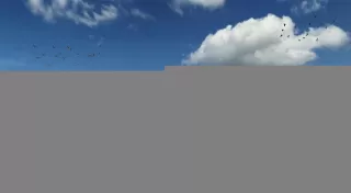 Photo #5: 66828044 Listing 