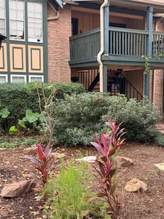 Primary Photo for MLS#: 67954662