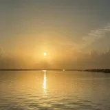 Primary Photo for MLS#: 75346764