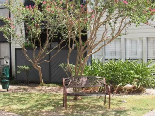 Photo #4: 88300898 Listing