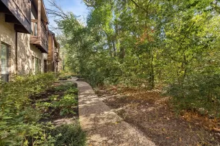 Photo #1: 96101764 Listing 