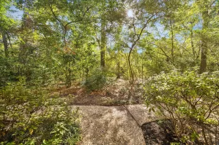 Photo #2: 96101764 Listing 