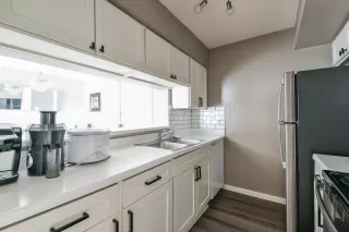 Photo #1: 97029196 Listing 