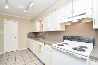 Photo #6: 97564131 Listing