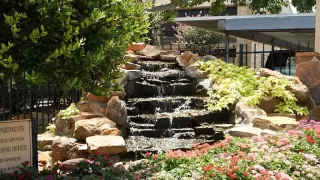 Photo #1: 98601905 Listing 